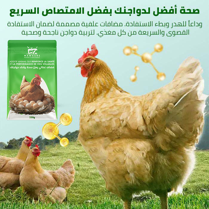 بودرة نباتية فائقة للمناعة والنمو – لرفع إنتاج البيض وصحة القطيع